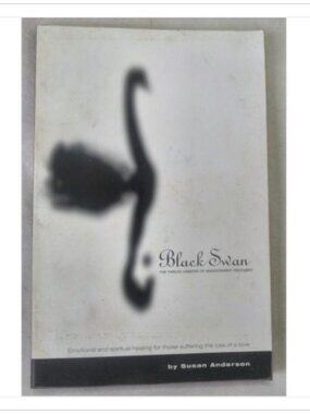 Black Swan The Twelve Lessons of Abandonment Recovery Foundations 1999 PB
